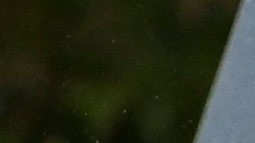 11-S Joe Biden La Reina Isabel II