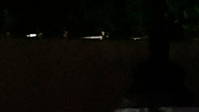 Este es el vehículo en el que llegó el cuerpo de la Reina Isabel II.