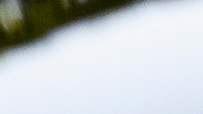 Reina Camila, esposa del rey Carlos III.