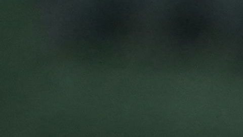 El salvadoreño Marcelo Arévalo celebra la victoria para su país en la Copa Davis.