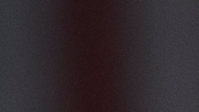 Donald Trump Joe Biden Gasolina Combustible