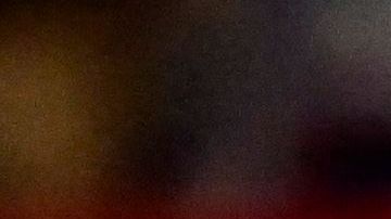 Las investigaciones continuarán para sancionar a los demás responsables.