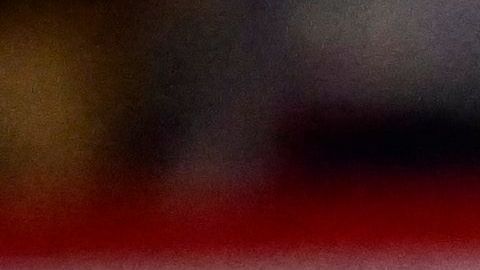 Las investigaciones continuarán para sancionar a los demás responsables.