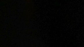 Joe Biden La Reina Isabel II