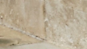 Los corgis de la reina Isabel estuvieron esperándola en su funeral.