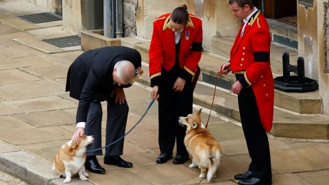 Los corgis de la reina Isabel estuvieron esperándola en su funeral.