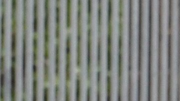 Van 814 réplicas del temblor de magnitud 7.7 en México.