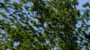 La Federación Hispana lideró evento con varios congresistas, incluido el líder de la mayoría en el Senado, Chuck Schumer.