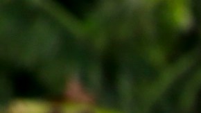 Finca Puerto Rico huracan Fiona