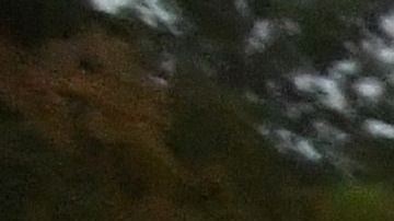 Manifestaciones en contra de la guerra de Putin en San Petersburgo.