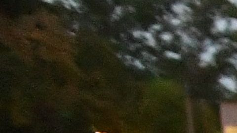 Manifestaciones en contra de la guerra de Putin en San Petersburgo.