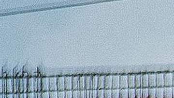 Los fanáticos del Deportivo Cali invadieron el campo en el partido contra Cortuluá.