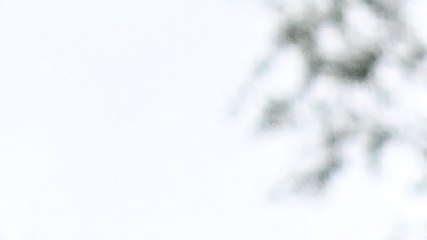 RUSSIA-UKRAINE-CONFLICT-DEMO