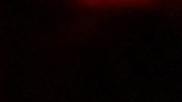 Novak Djokovic y Roger Federer