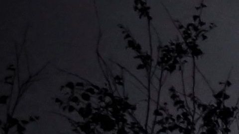 Ruslan Zinin disparó a quemarropa a un militar ruso.