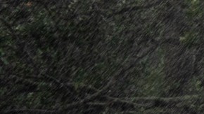 1.8 millones de hogares y negocios de Florida se quedaron sin electricidad.