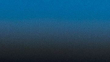 Aaron Judge saluda a sus compañeros y a la fanaticada presente en el Rogers Centre tras despachar el histórico jonrón 61 de la temporada.