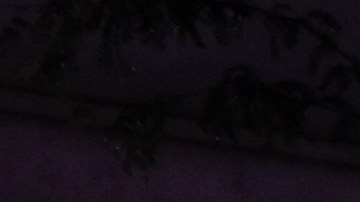 Nueva York Bronx Brooklyn Tiroteo