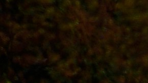 El presidente de la FIA, Mohammed Ben Sulayem, lamentó el fallecimiento de Isabel II.