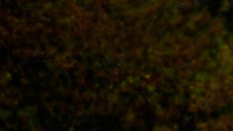 El presidente de la FIA, Mohammed Ben Sulayem, lamentó el fallecimiento de Isabel II.