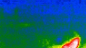 En el año fiscal 2021 más de 120,000 niños no acompañados cruzaron la frontera.