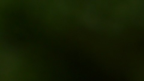 Tiroteo Carolina del Norte