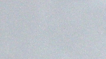 Florida Wildlife And Daily Life Scenes