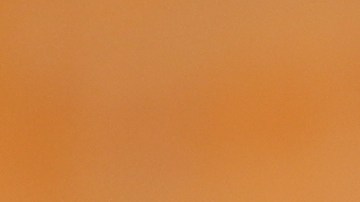 Pedro López durante un encuentro entre la selección femenil sub-20 de España ante su similar de Alemania.