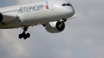 El incidente ocurrió en el vuelo 377l de American Airlines.