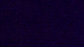 The Weeknd se está recuperando después de perder la voz durante un show en Los Ángeles.