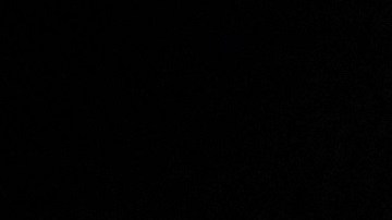 Durante seis meses, cientos de inmigrantes fueron transportados por un grupo liderado por una mujer de 24 años.