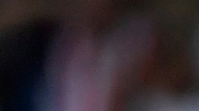 Jugadoras de Chivas poseen casi récord inmaculado de 13 victorias y una derrota en 14 encuentros de la Liga MX femenil.