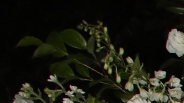 Mauricio Umansky y Kyle Richards creen que Aspen ya perdió su magia.