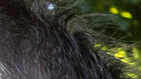 Las familias aun no se sienten seguras tras el tiroteo en una escuela de Uvalde.