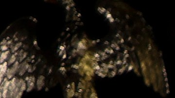 Joe Biden Kevin McCarthy