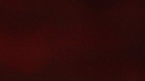 Joe Biden Casa Blanca Karine Jean-Pierre