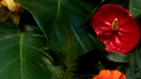 Julia Roberts y George Clooney vuelven a estar juntos en una película.