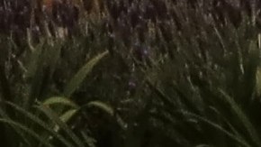 Another earthquake hits Mexico on the Anniversary of the Tremors of 1985 and 2017