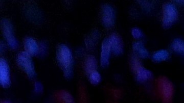 Rafael Nadal y Roger Federer