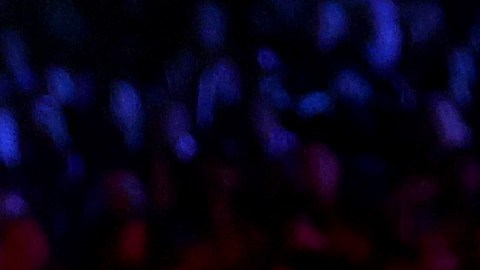 Rafael Nadal y Roger Federer