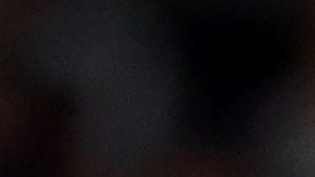 Yankees de Nueva York