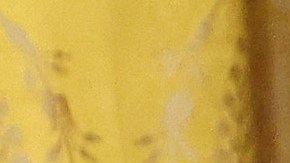 Joe Biden posa junto a la escuadra de Atlanta Braves con a una camisa personalizada.