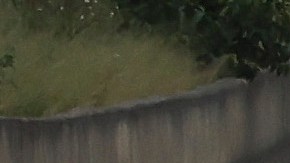 Huracán Iona Florida