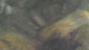 Hurricane Ian Slams Into West Coast Of Florida