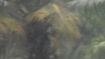 El huracán Ian comienza a causar destrozos en Florida.