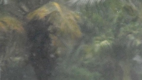 El huracán Ian comienza a causar destrozos en Florida.