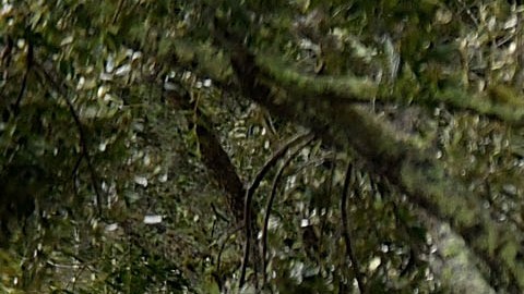 El huracán Ian dejó al menos 15 muertos a su paso.