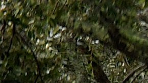 El huracán Ian dejó al menos 15 muertos a su paso.