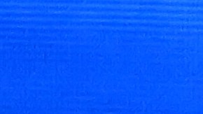 Lourdes Stephen y Myrka Dellanos.