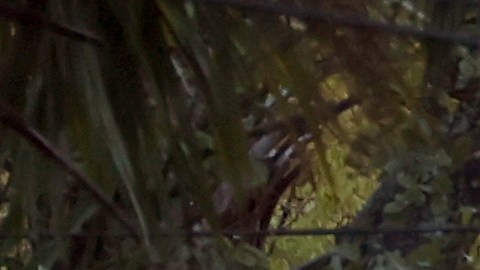 Charleston Prepares For Arrival Of Hurricane Ian